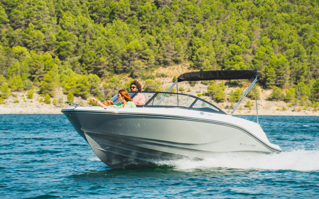BAYLINER V20
