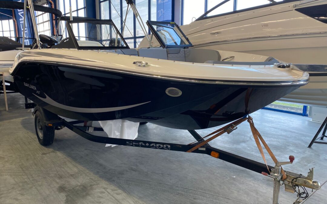 BAYLINER M17 mit Mercury F 100 ELPT EFI